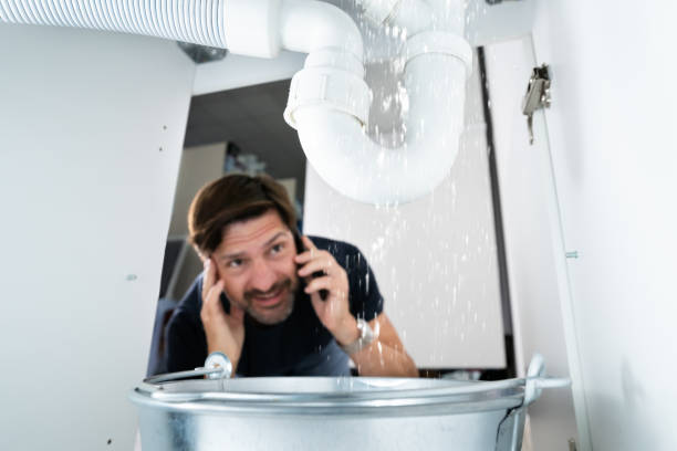 Best Shower Repair Services  in Minersville, PA